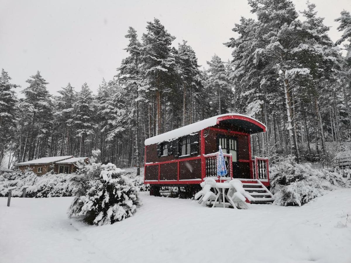 Les Chalets Du Haut-Forez Usson-en-Forez Exterior foto