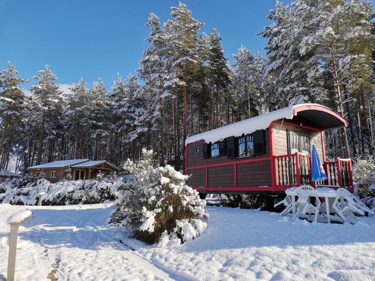 Les Chalets Du Haut-Forez Usson-en-Forez Exterior foto