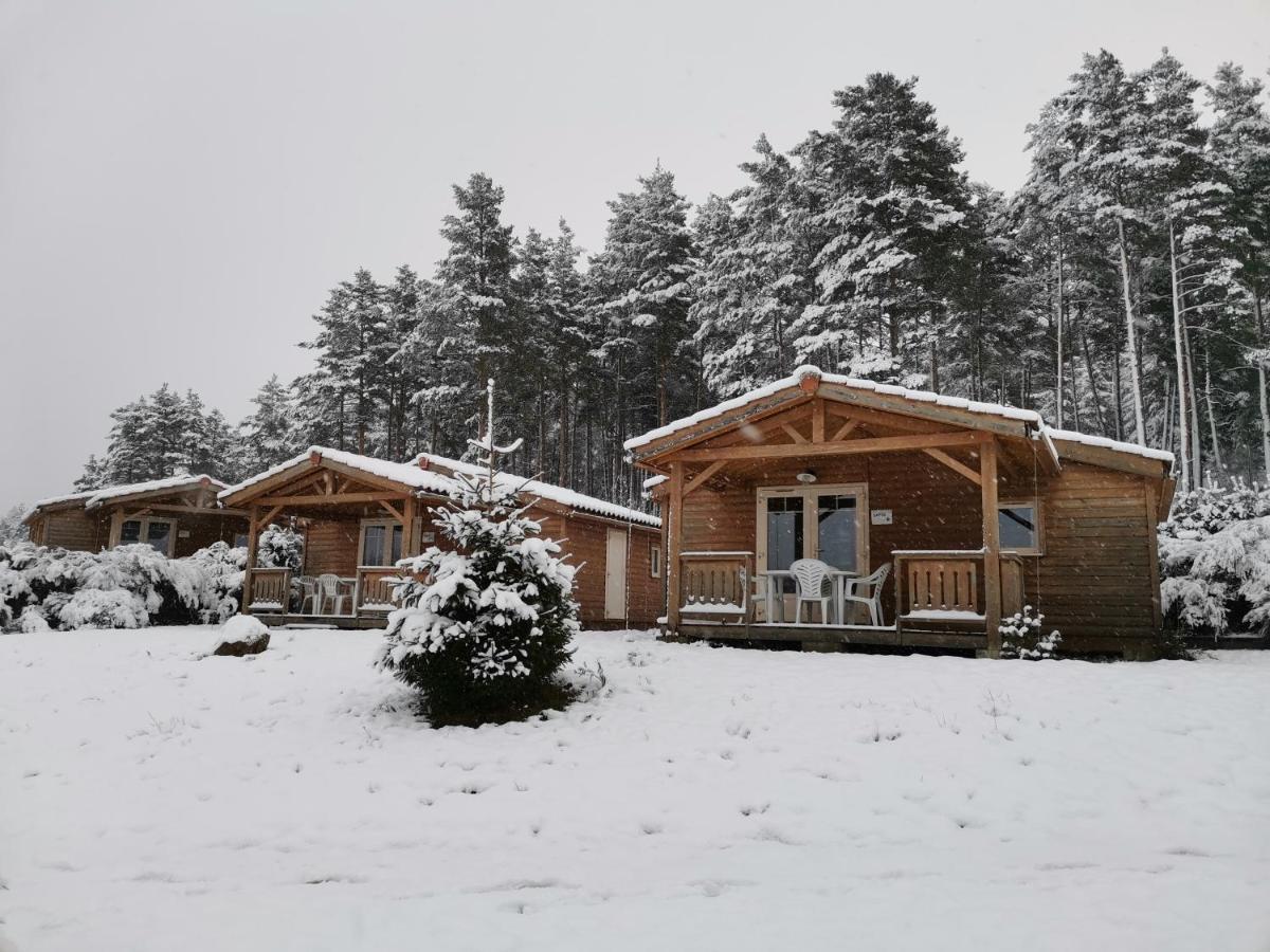 Les Chalets Du Haut-Forez Usson-en-Forez Exterior foto