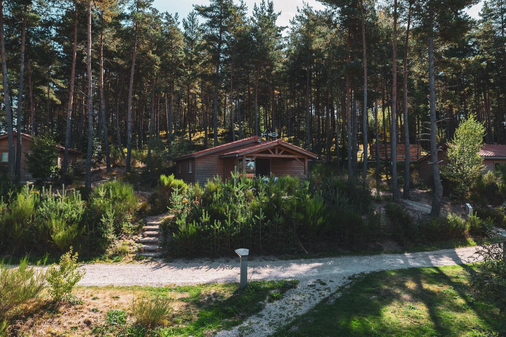 Les Chalets Du Haut-Forez Usson-en-Forez Exterior foto