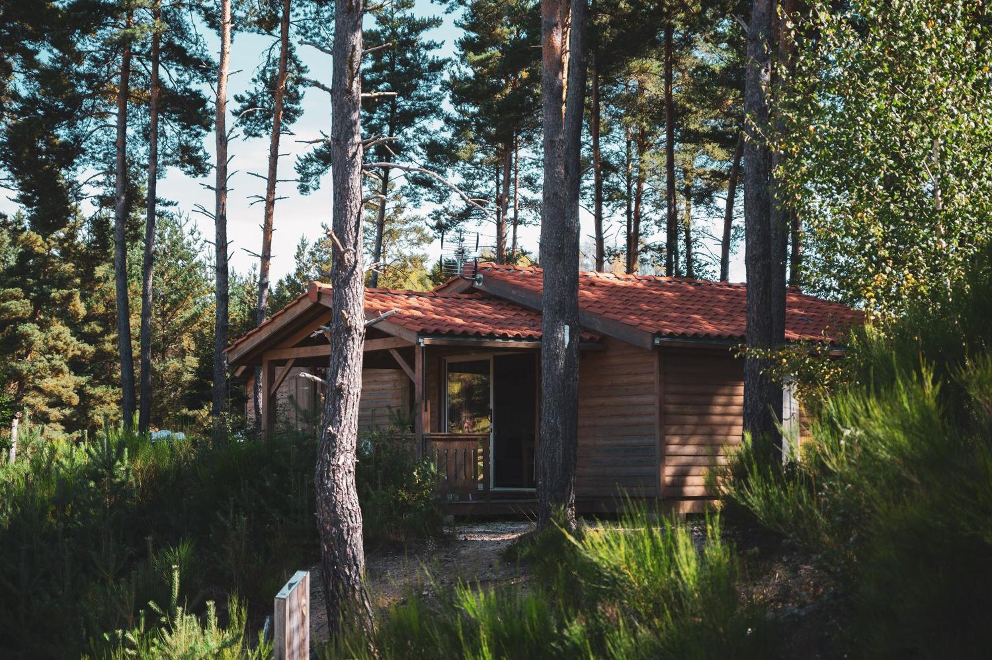 Les Chalets Du Haut-Forez Usson-en-Forez Exterior foto