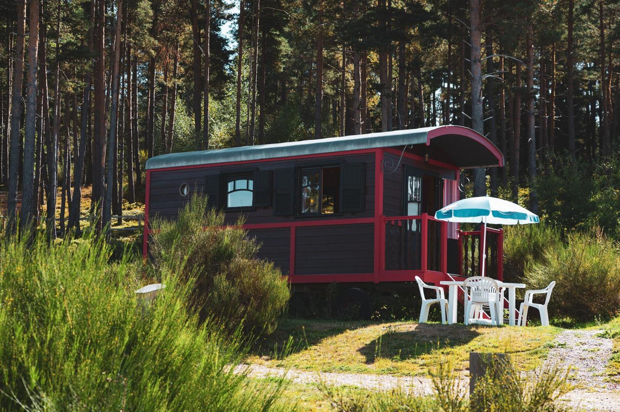 Les Chalets Du Haut-Forez Usson-en-Forez Exterior foto